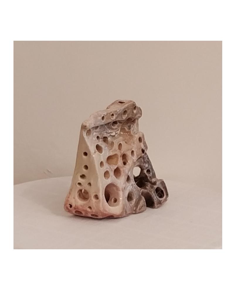 Bones Bones