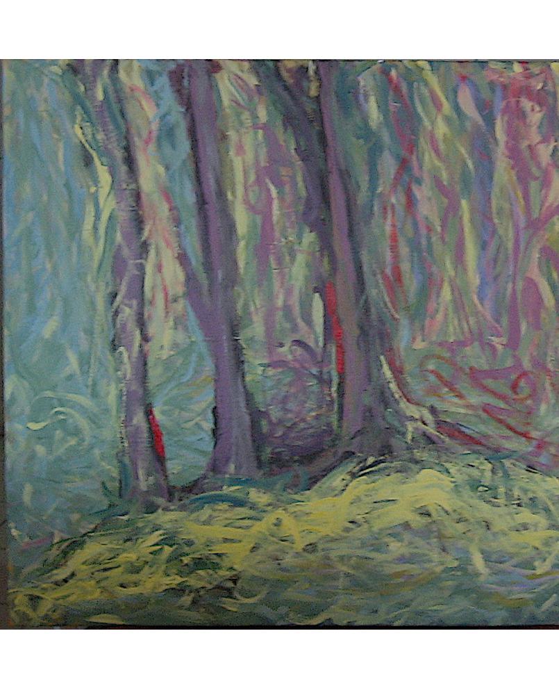 Enchanted Forest Enchanted Forest