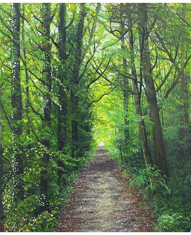 “Noor” Forest-north of Iran “Noor” Forest-north of Iran