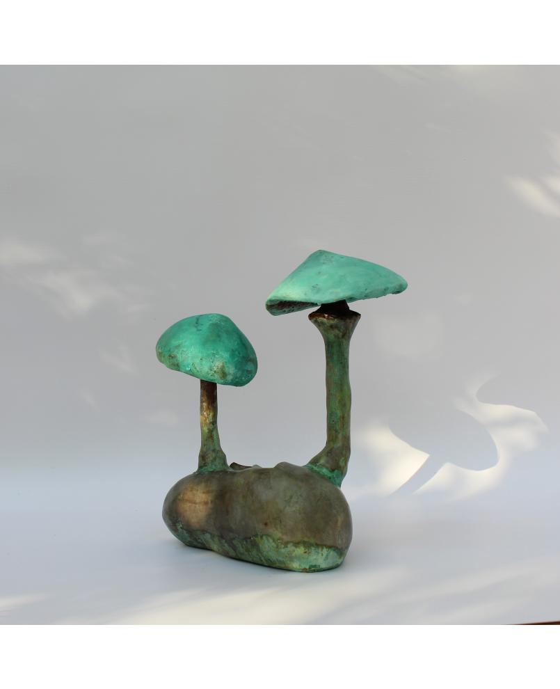 Vénus aux champignons (n° 286)