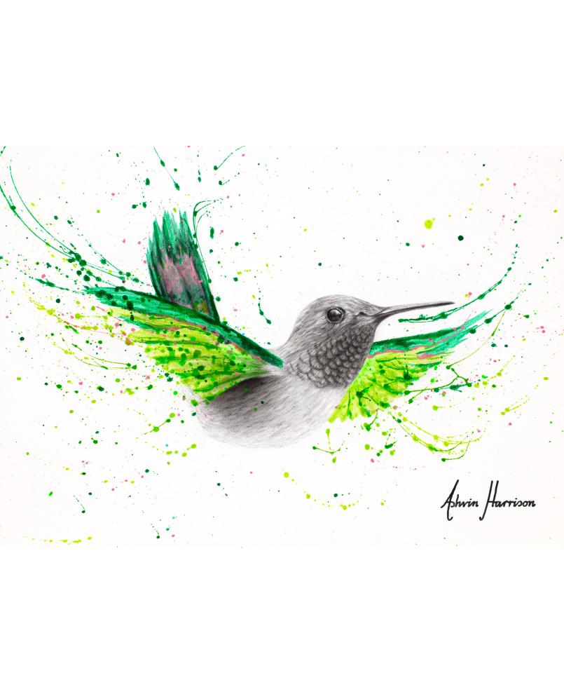 River City Hummingbird River City Hummingbird