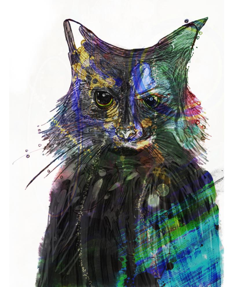 Mr Miau Mr Miau
