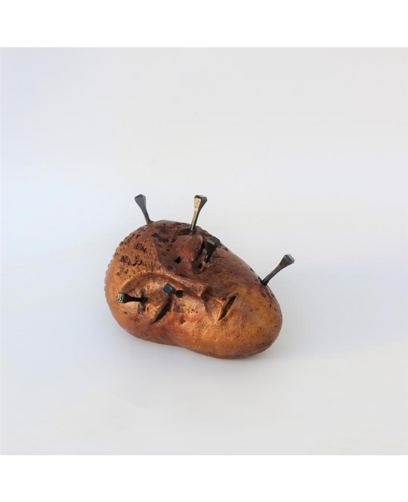 Vénus cloutée (266)