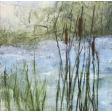 Freshwater marshes, 2021, nature colors, water, cattails