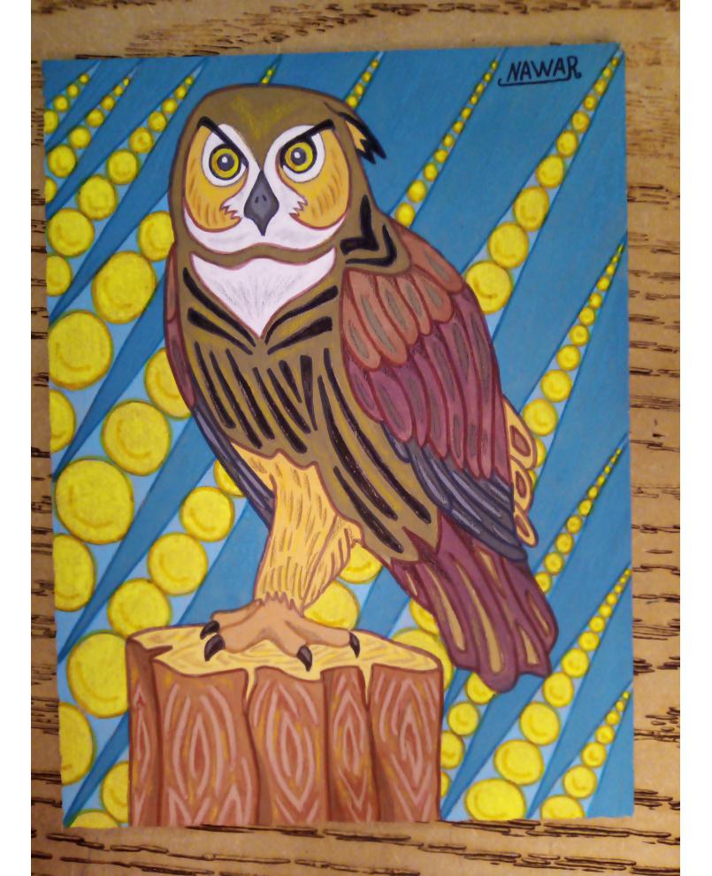 owl owl