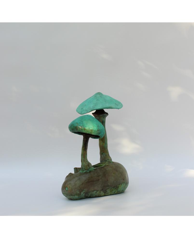 Vénus aux champignons (n° 286)