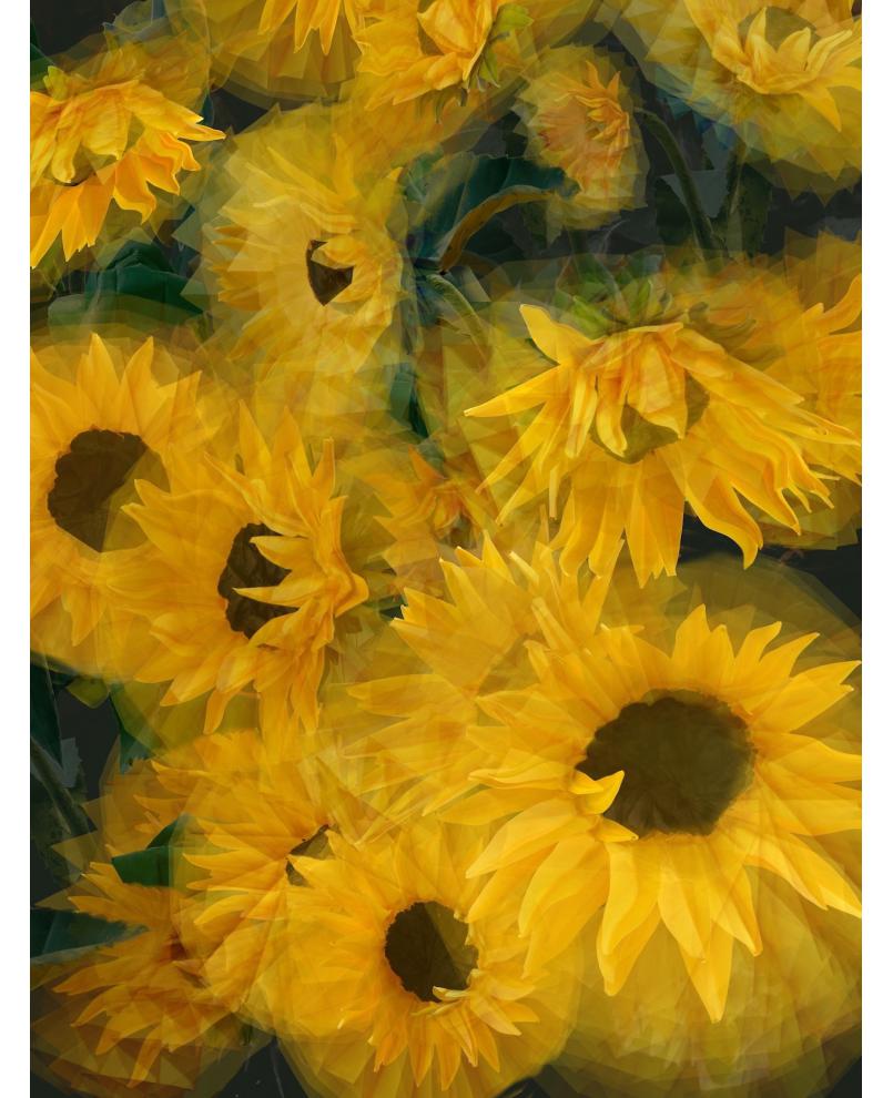 Summer in Simulacrum I Summer in Simulacrum I