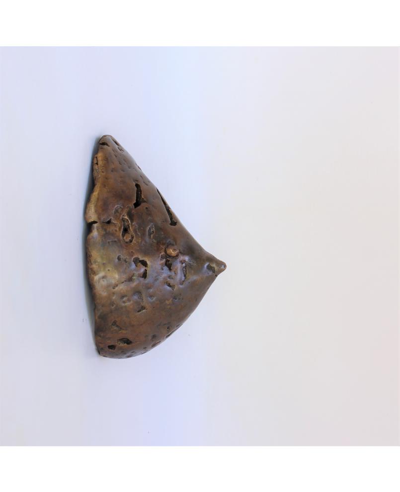 Seinrisson (n° 306)