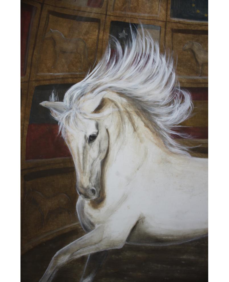 Spanish stallion Spanish stallion