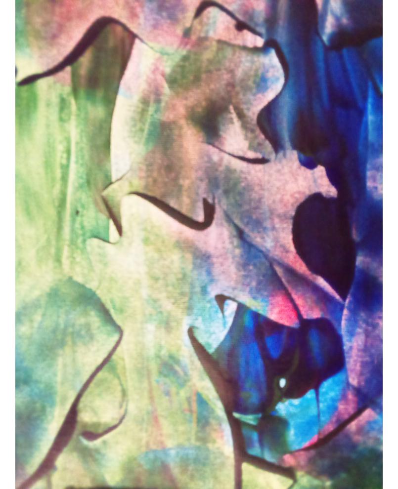 ilusion world ilusion world