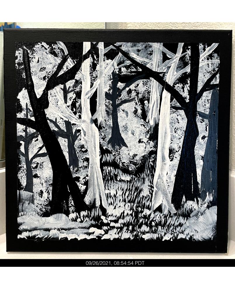 Woods Woods