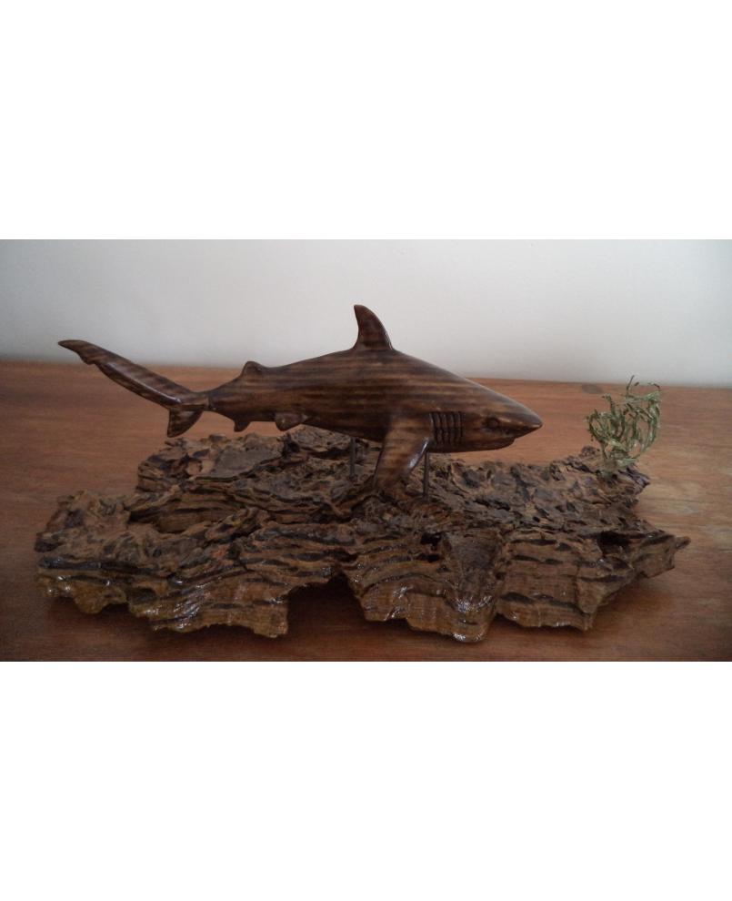 Tiger shark Tiger shark