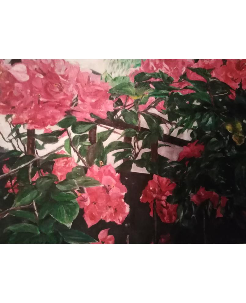 Bougainvillea series #2 Bougainvillea series #2