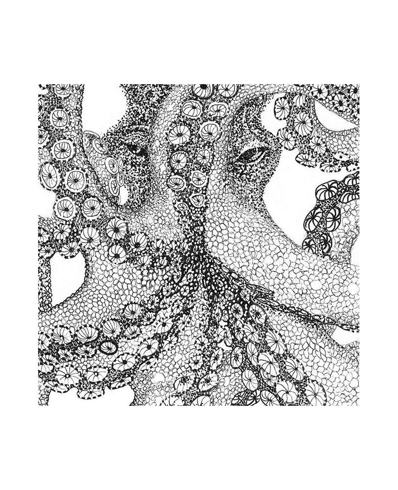 Octopus Octopus