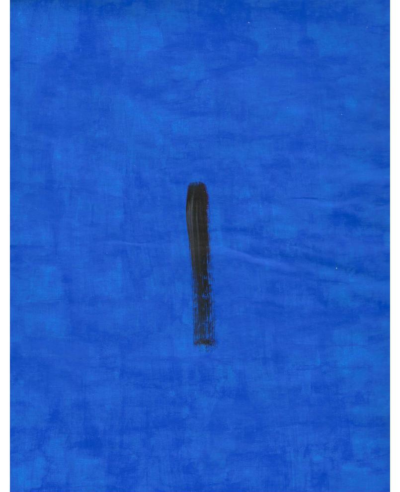 Squashed mosquito on the wall