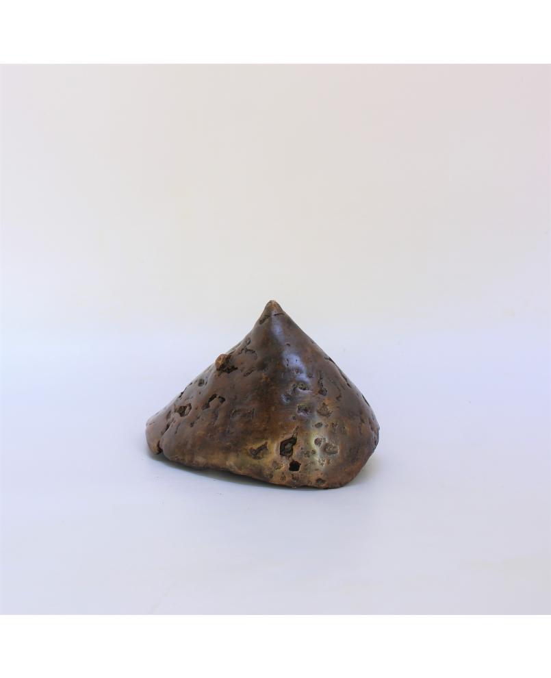 Seinrisson (n° 306)