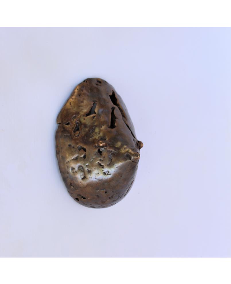 Seinrisson (n° 306)