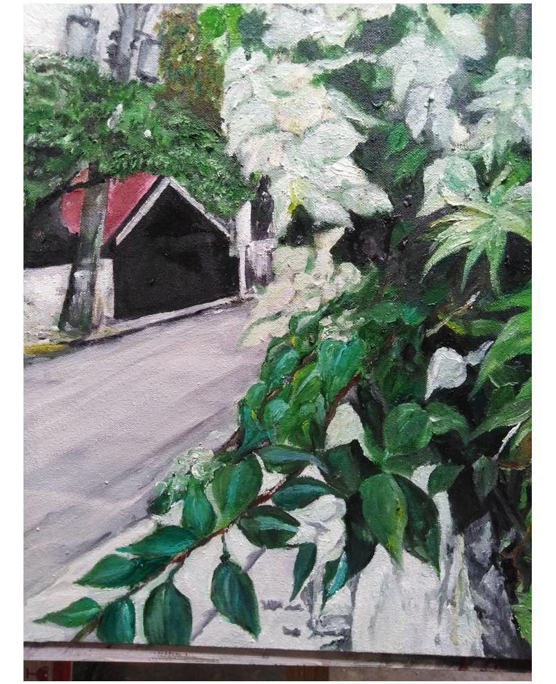 Bougainvillea series #3