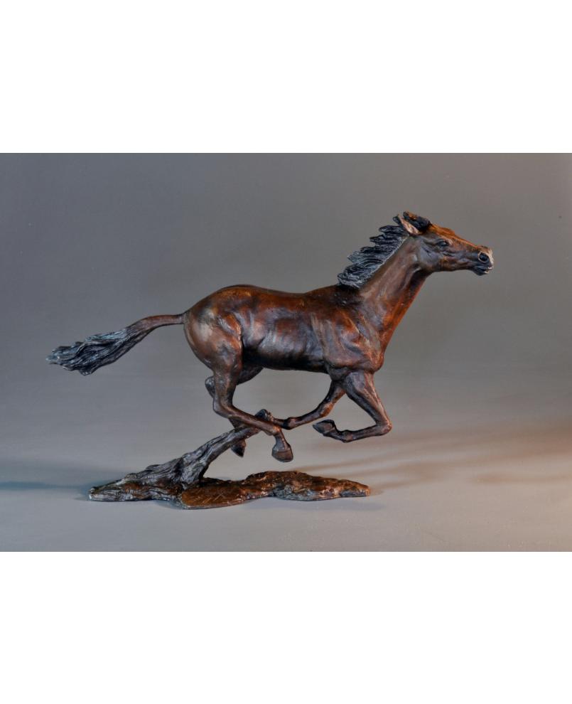 Thoroughbred Thoroughbred