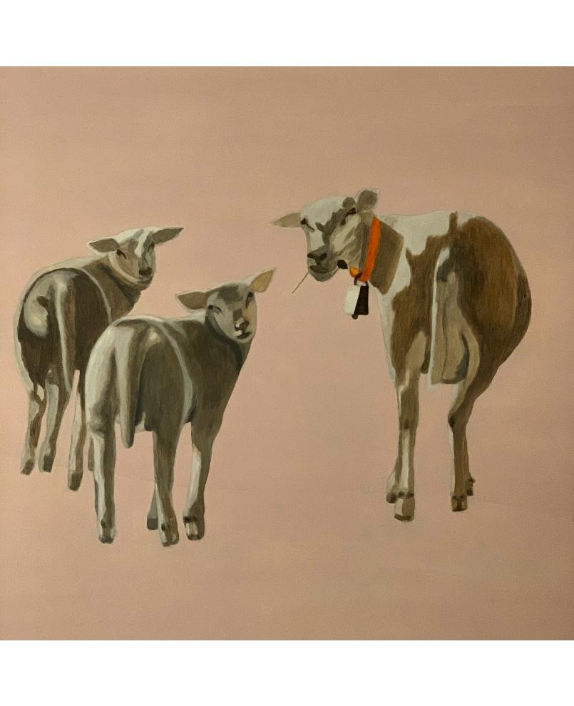 Sheeps Sheeps
