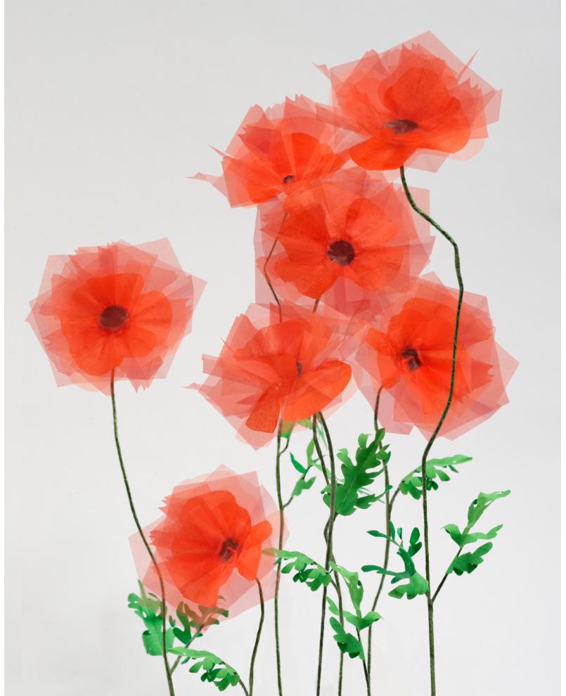 Gardering - poppy Gardering - poppy