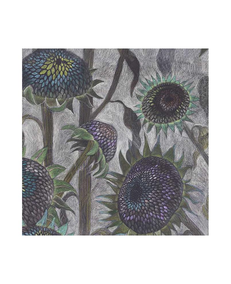 Seed Heads B Seed Heads B