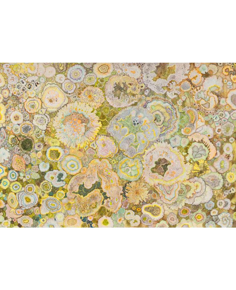 Lichen Drawing Lichen Drawing