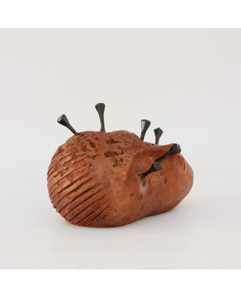 Vénus cloutée (266)