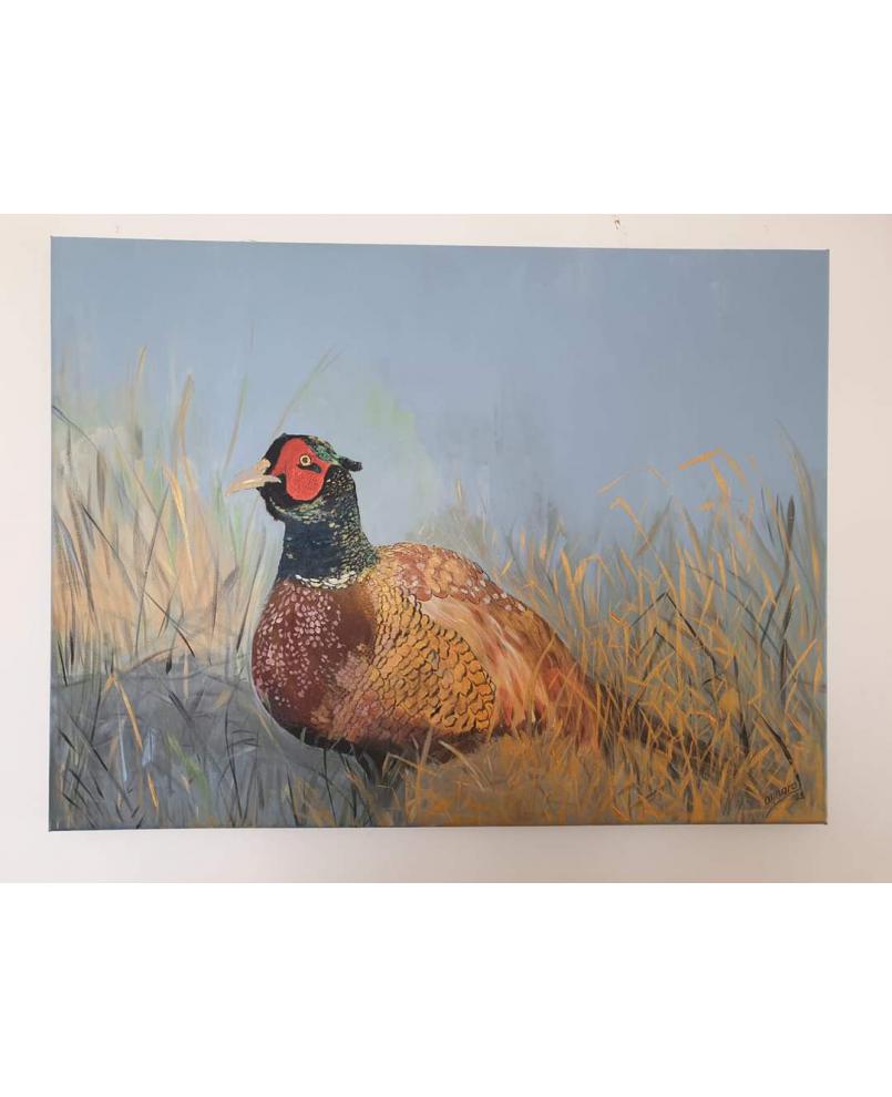 Pheasant Pheasant