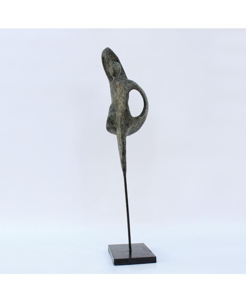 Sans tire  (n° 220)