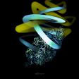 Unseen organic energy