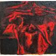 The cloth
