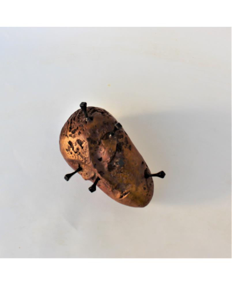 Vénus cloutée (266)