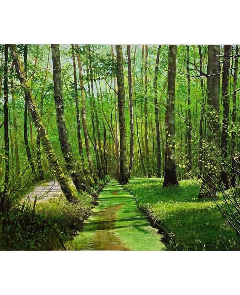 “Gisoom”Forest-north of Iran “Gisoom”Forest-north of Iran
